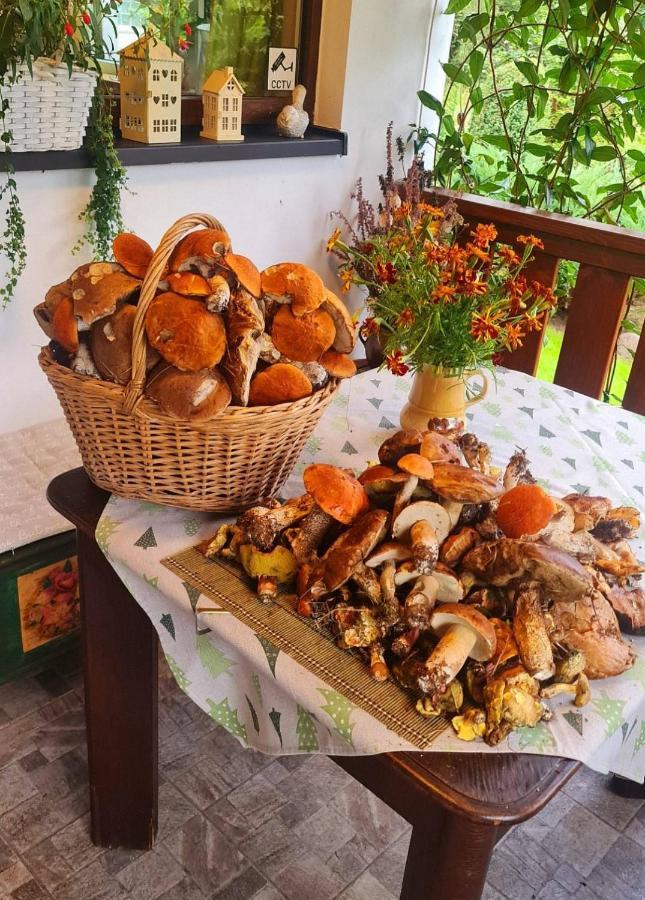 Chaloupky U Matusku Villa Varnsdorf Dış mekan fotoğraf