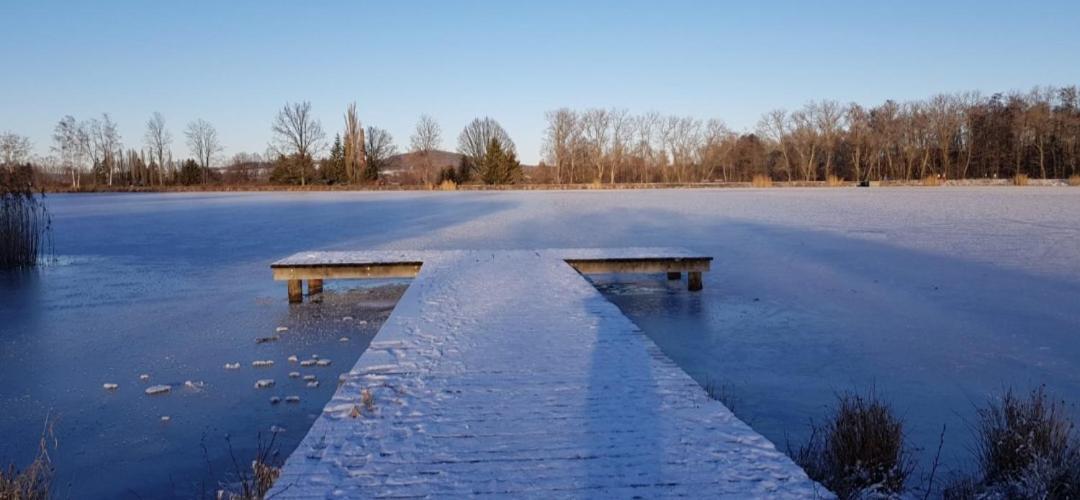 Chaloupky U Matusku Villa Varnsdorf Oda fotoğraf
