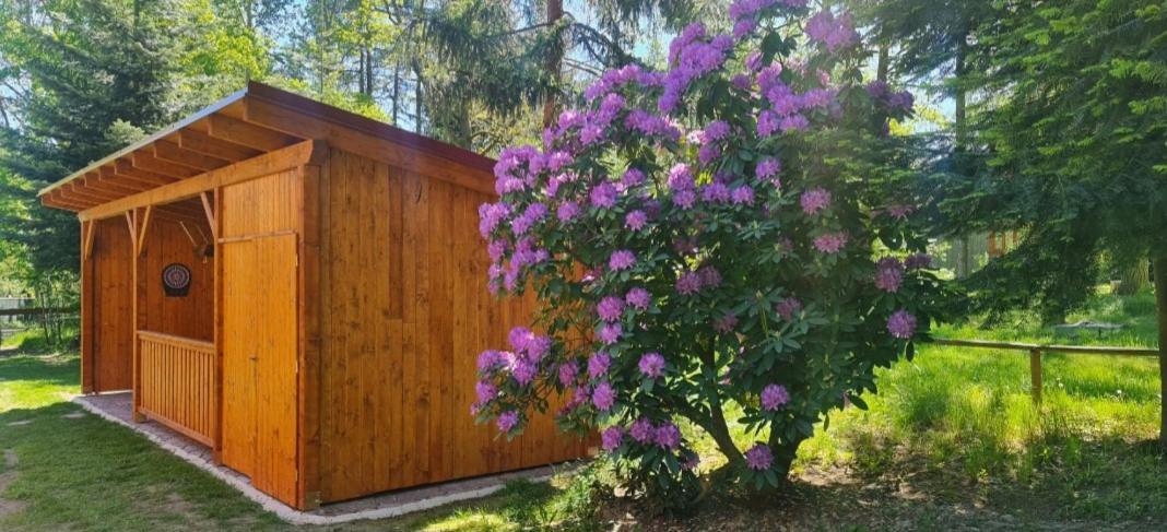 Chaloupky U Matusku Villa Varnsdorf Dış mekan fotoğraf